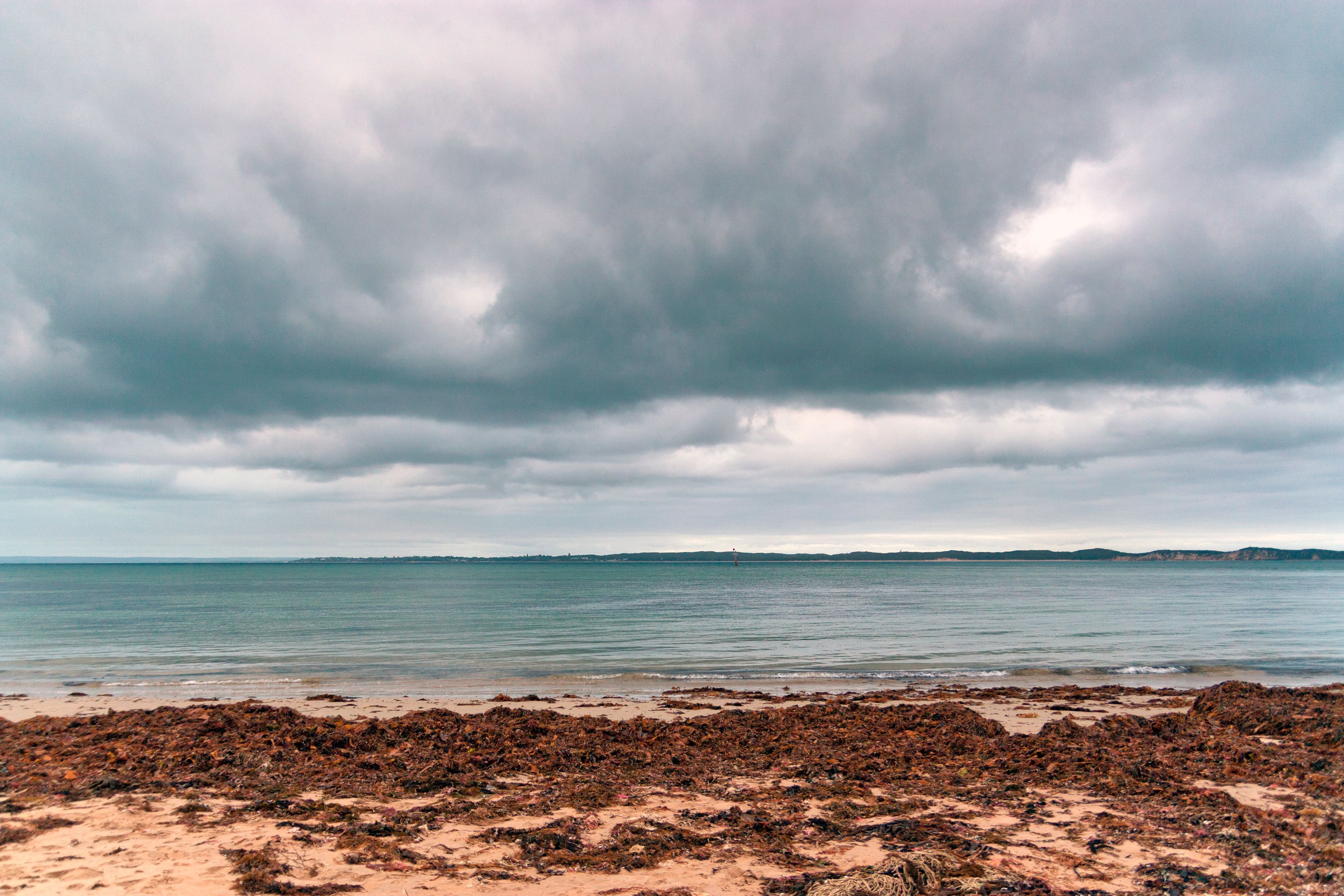 Queenscliff Beach