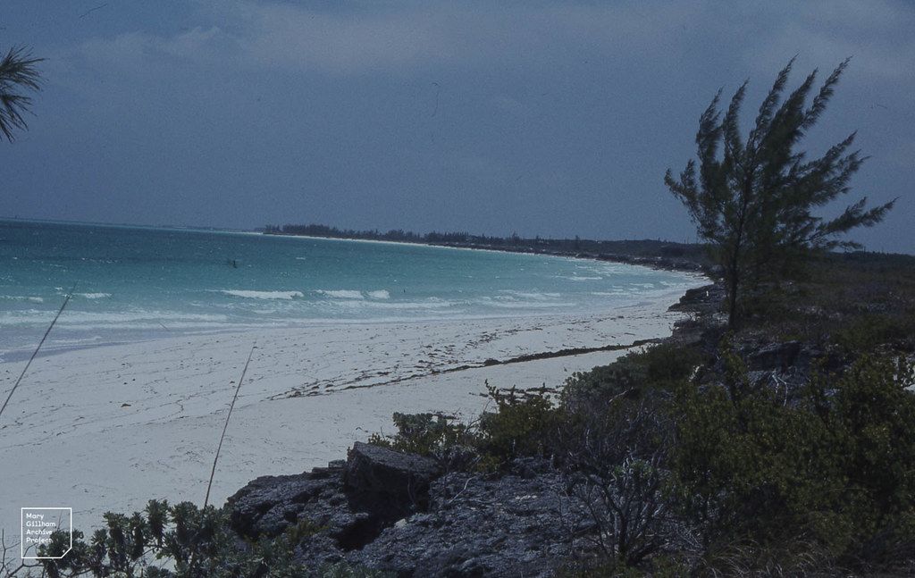 Picnic Beach