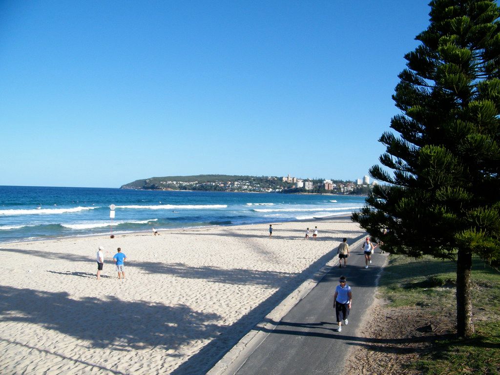 North Steyne Beach