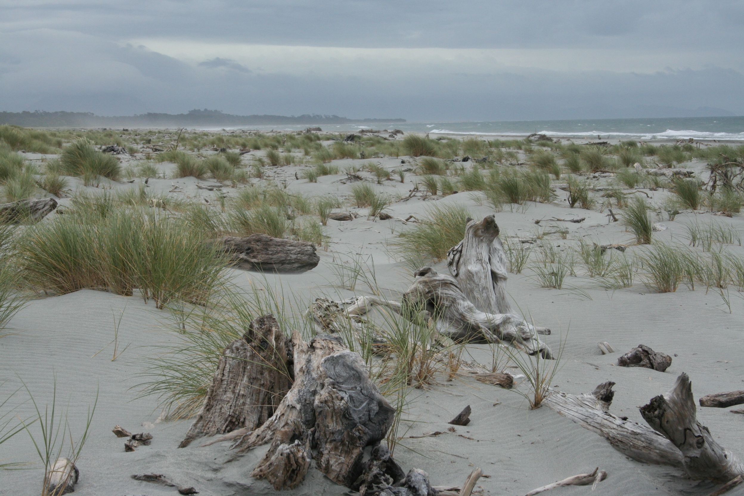 New Zealand Beach