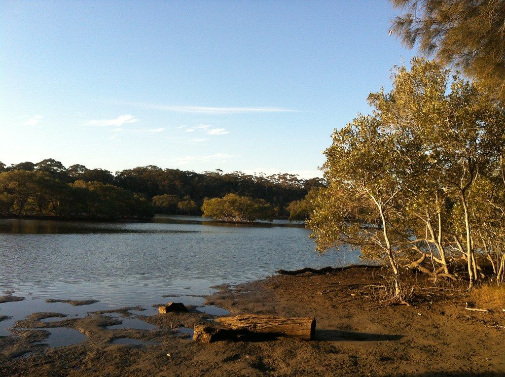 Boambee Beach