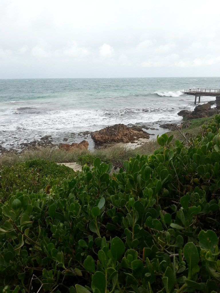 North Beach