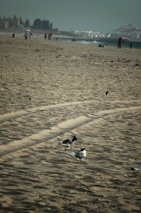 City Beach