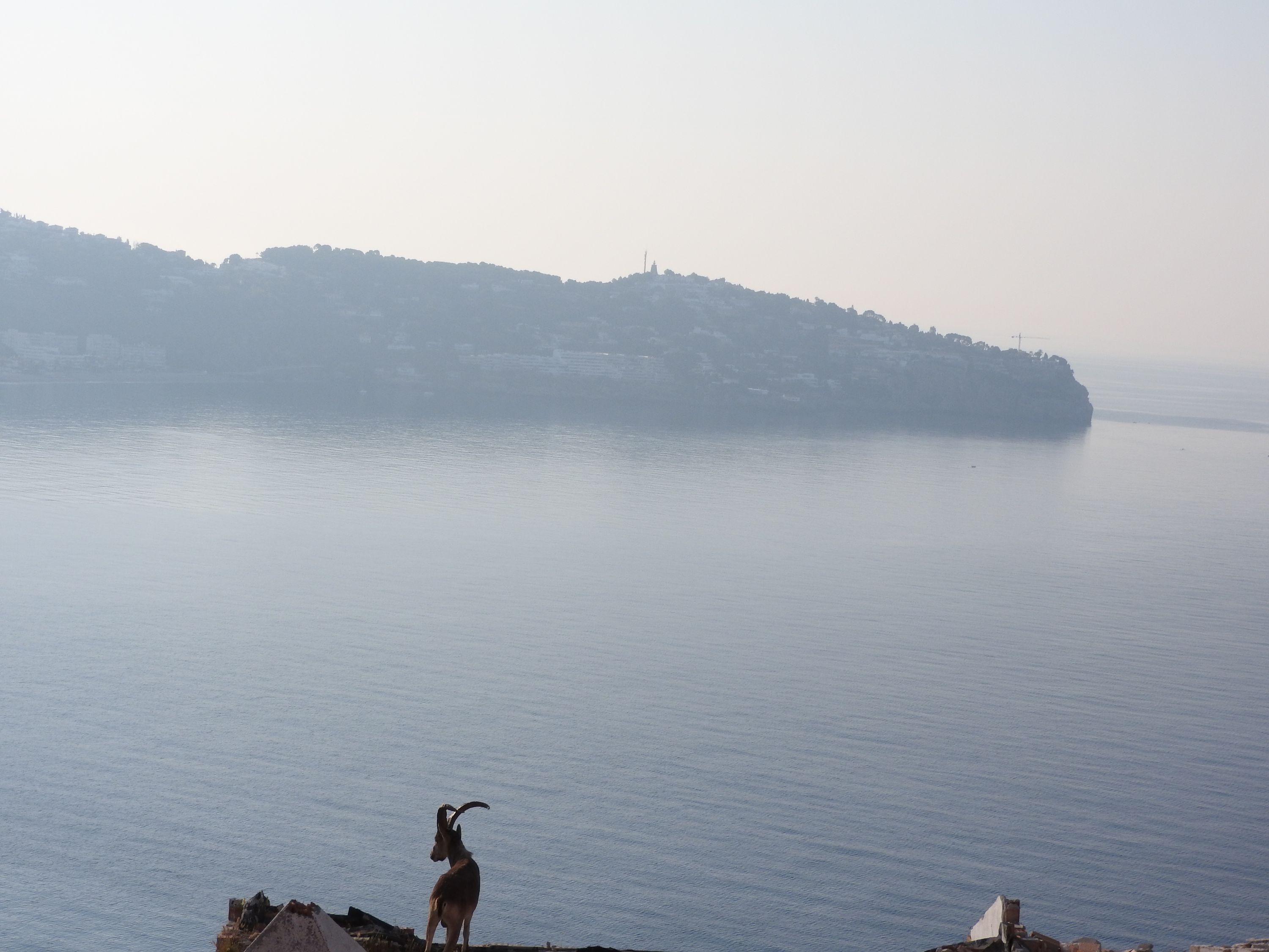 La Herradura Bay