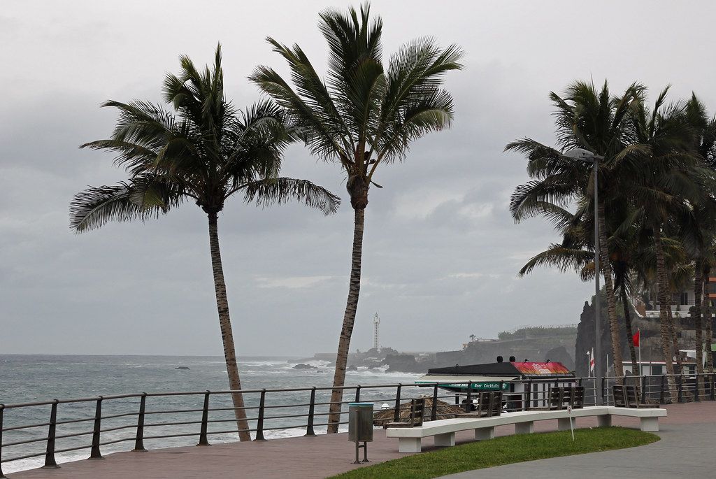 Playa Delphin