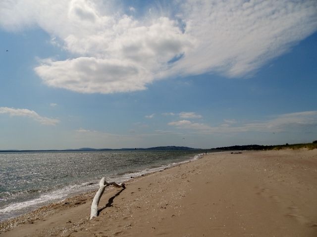 Barry Sands