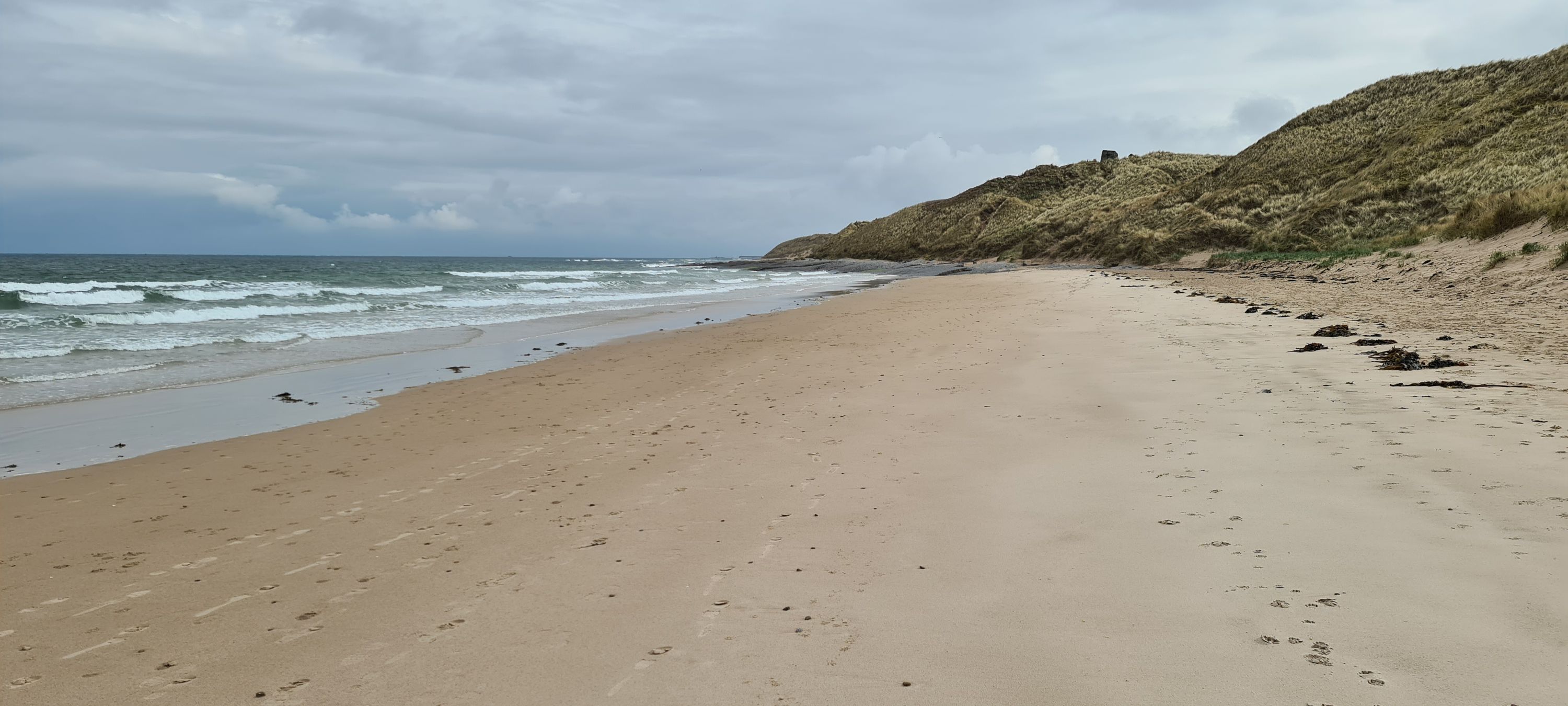 Bleak Beach