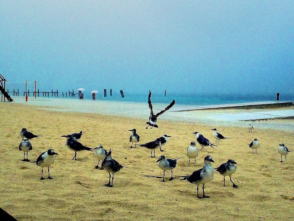 Playa Ojo de Agua