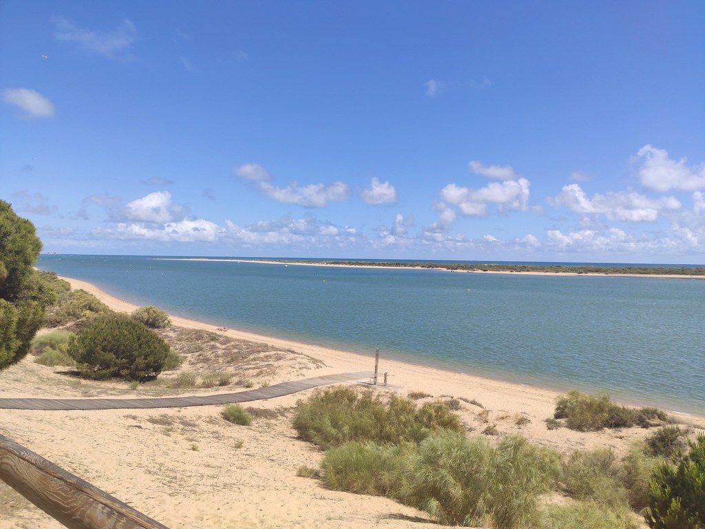 Nuevo Portil