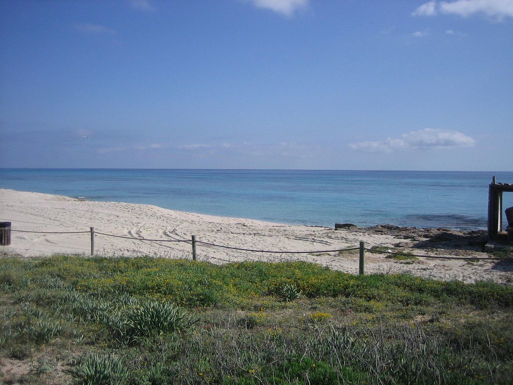 Els Arenals