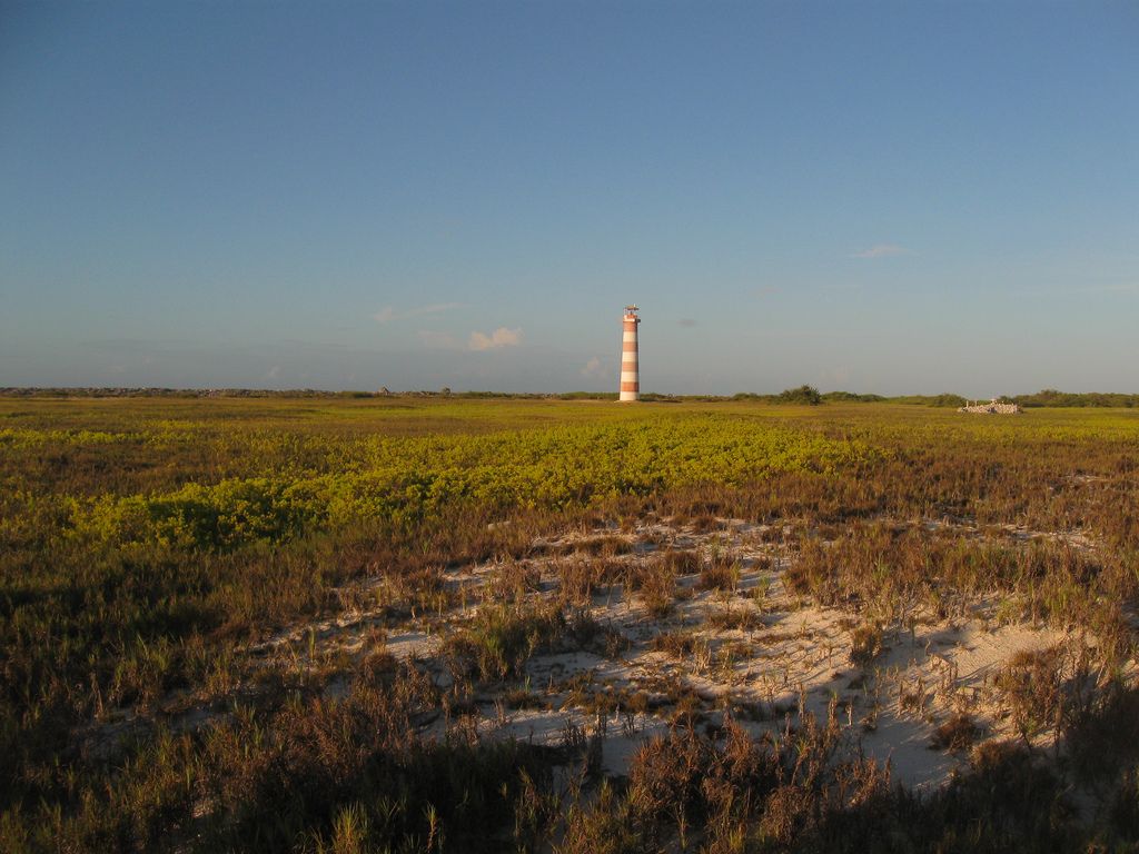 La Tortuga