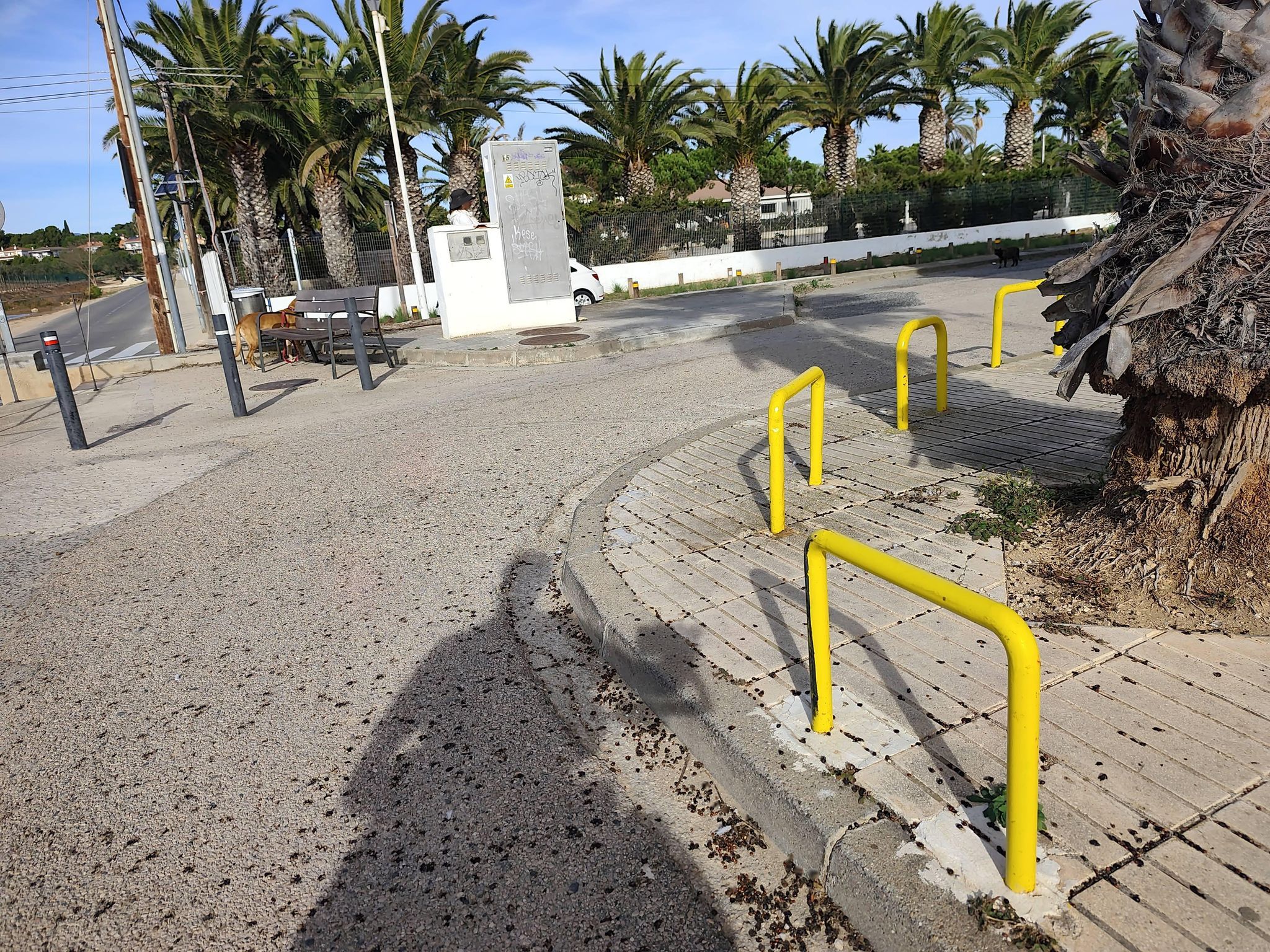 platja de les Madrigueres