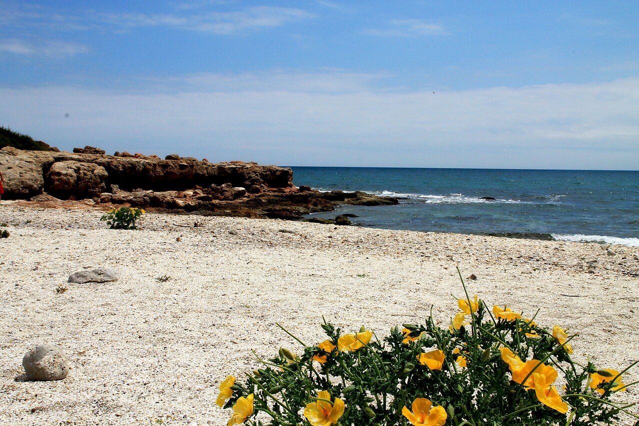 Cala de las Petxinas