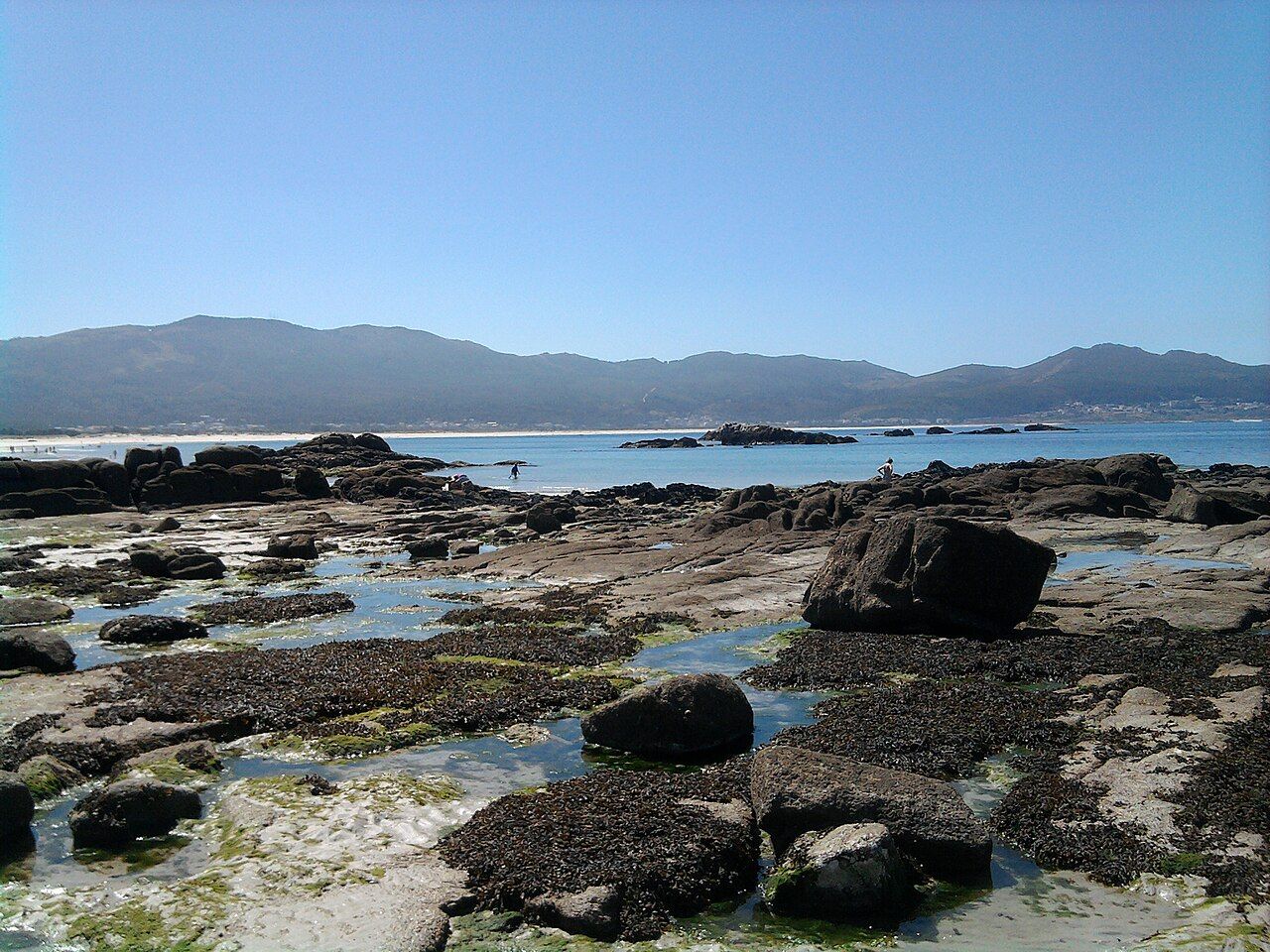 Caldebarcos