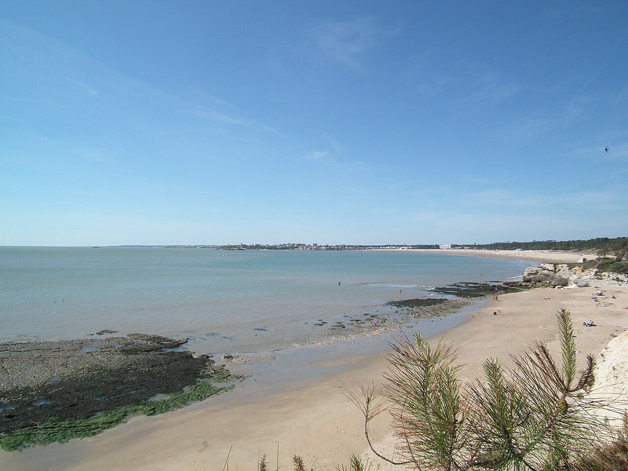 Conche de Saint-Georges