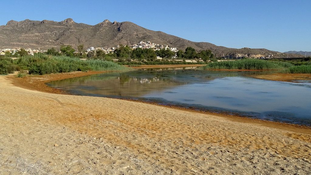 Playa para perros de Mazarrón