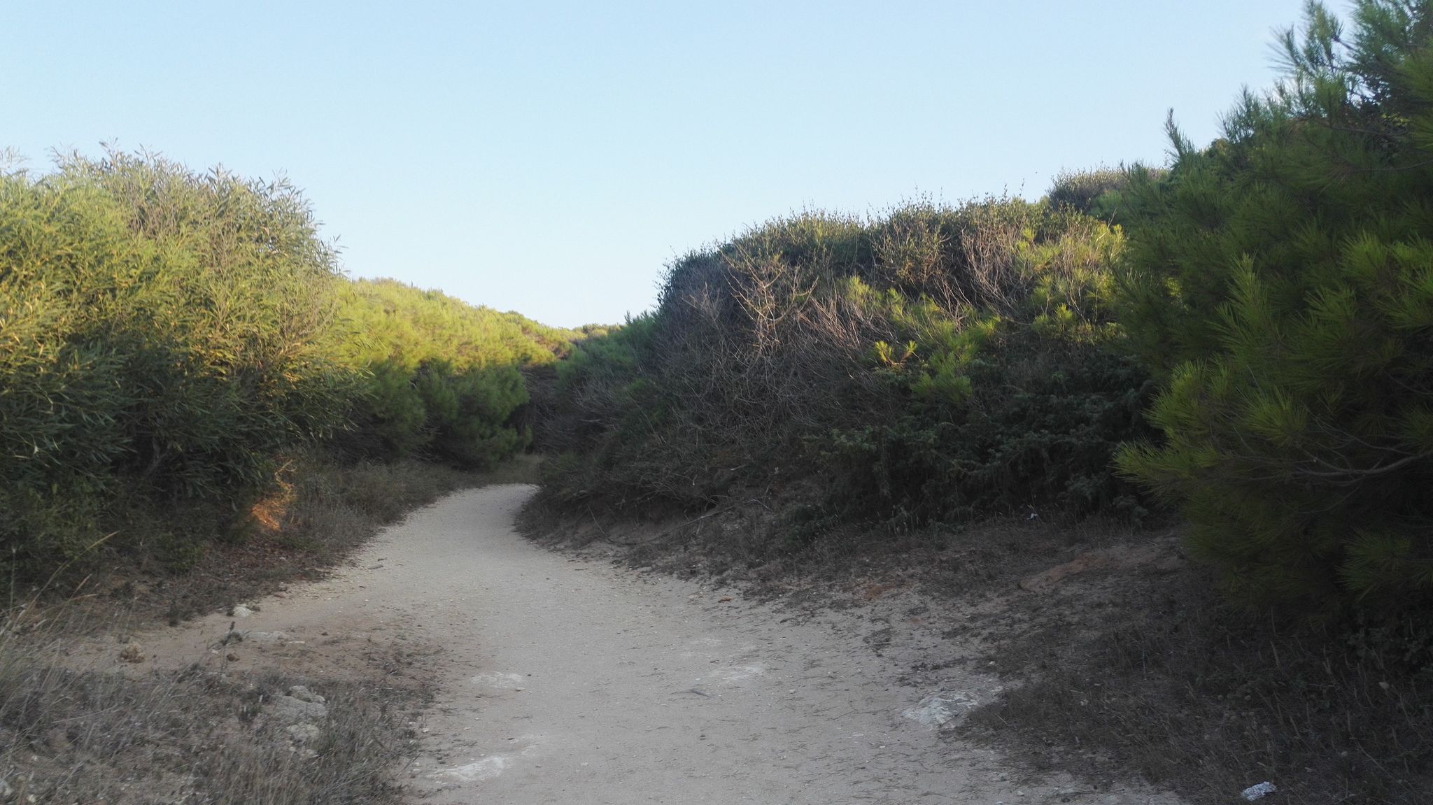 Spiaggia di Torre dell'Orso