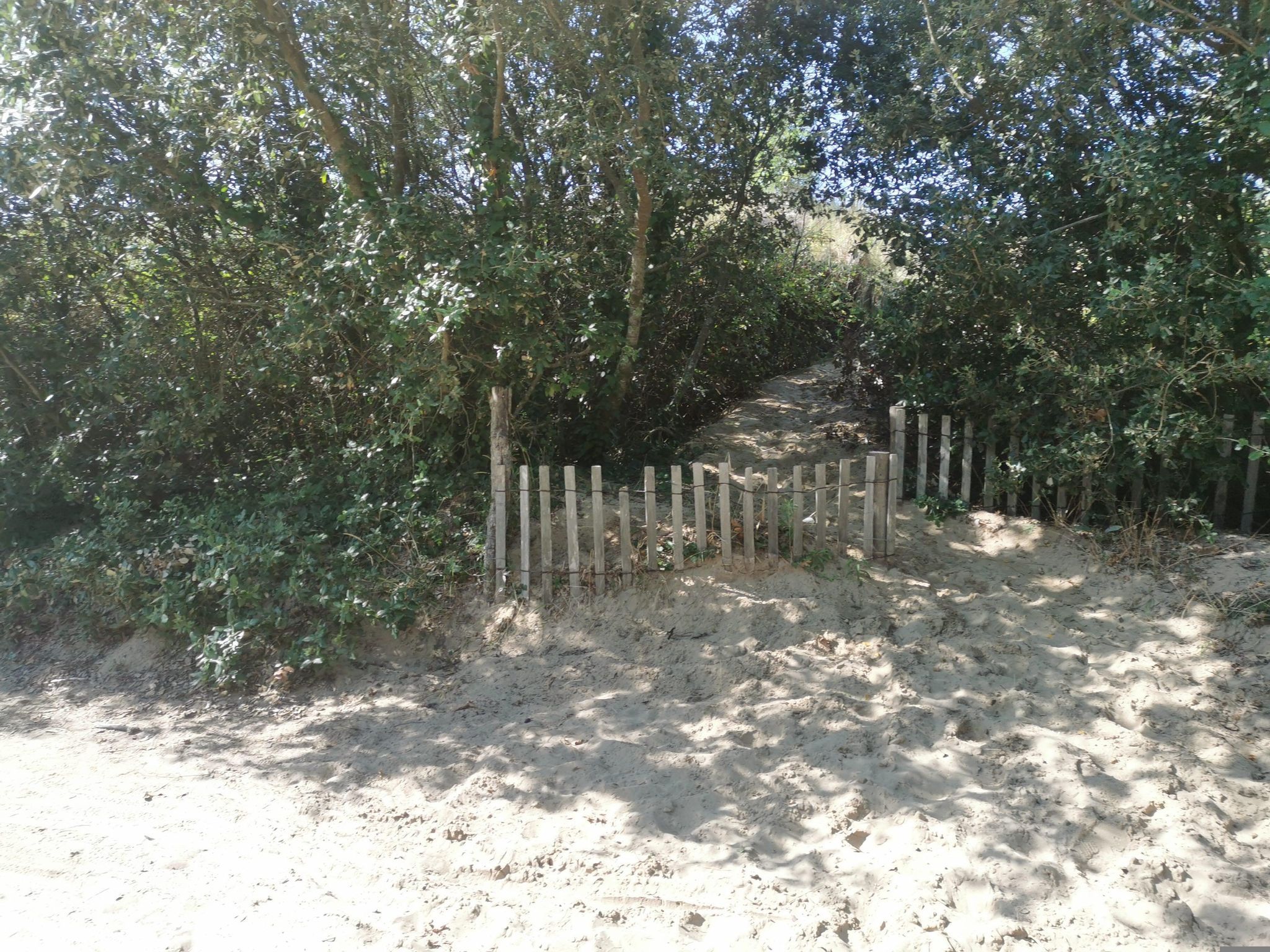 plage de la Grande Côte