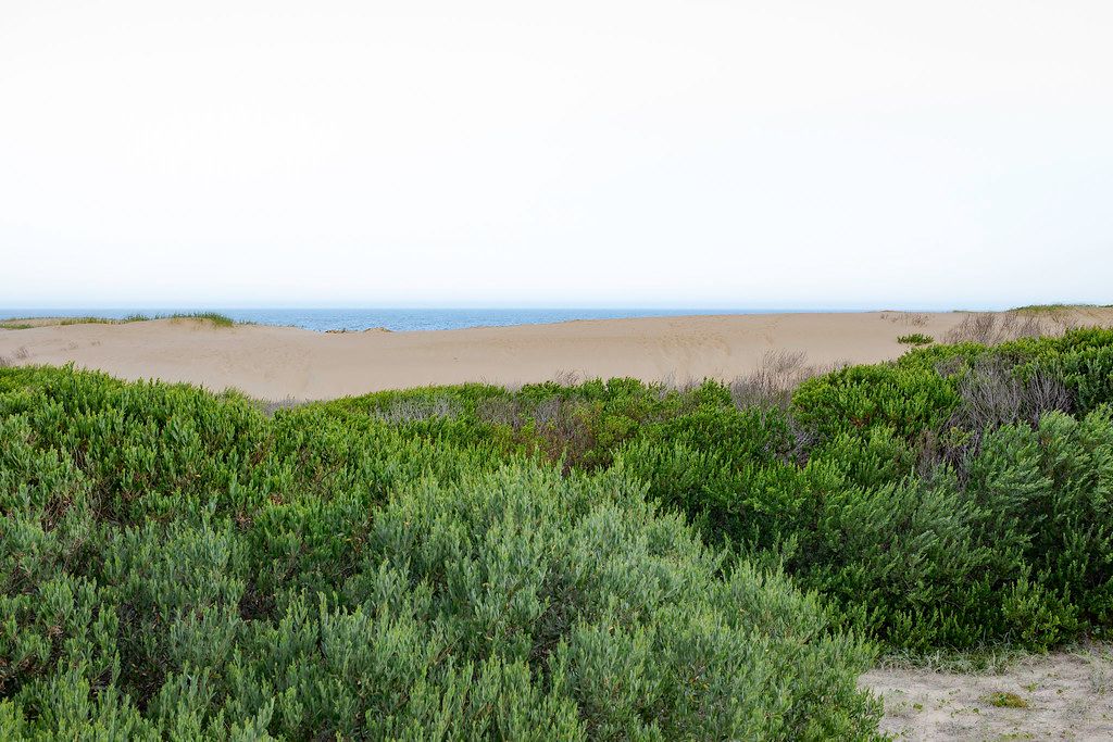 Arenas de José Ignacio Beach