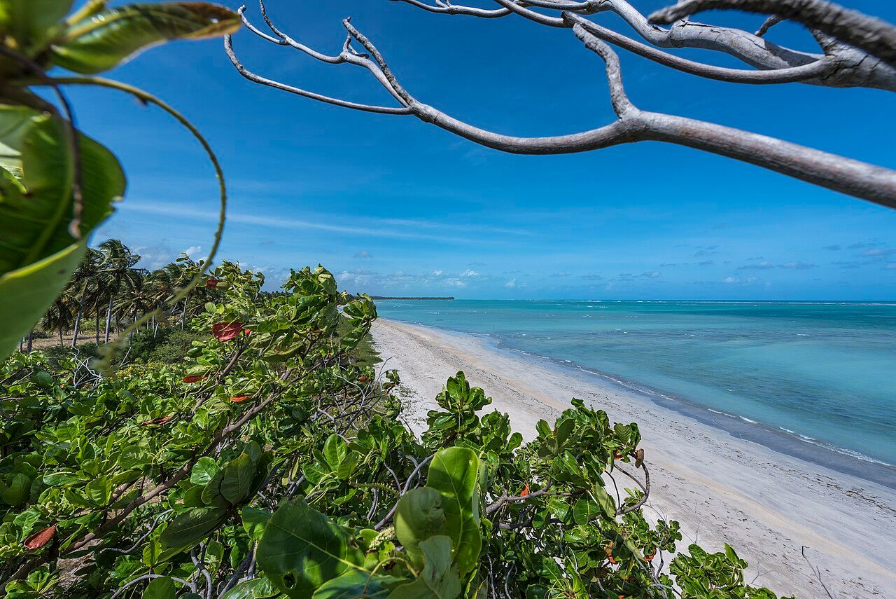 Patacho Beach