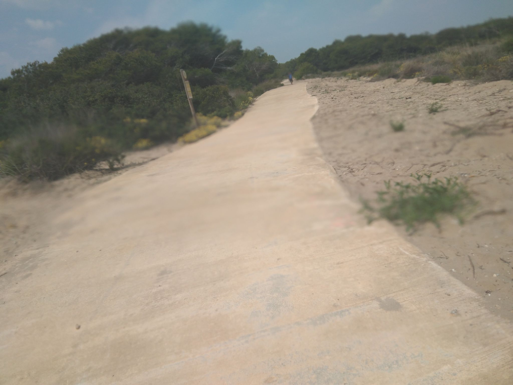Devesa del Saler beach