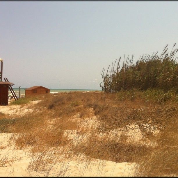 Playa de las Higuericas