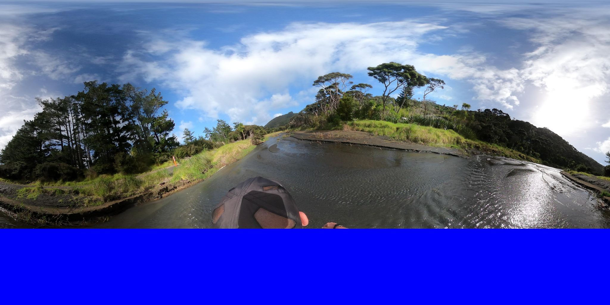 Te Henga (Bethells Beach)