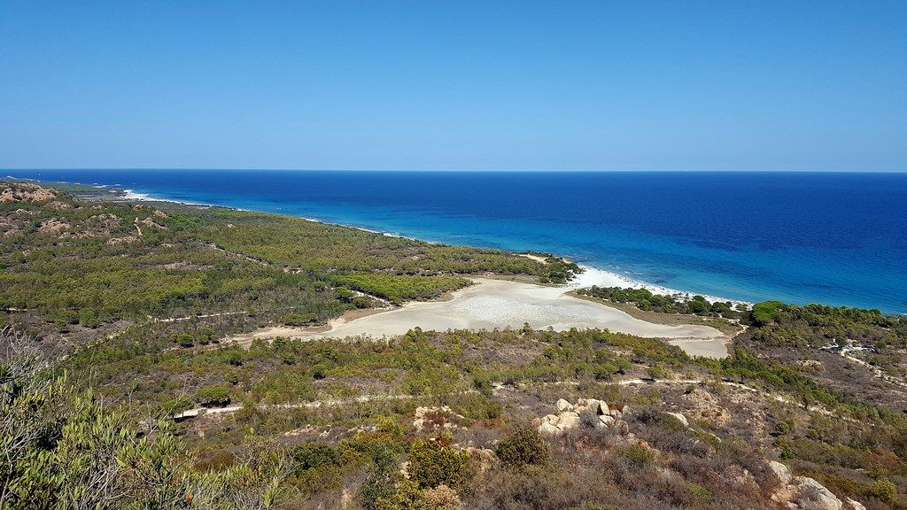 Biderosa oasis