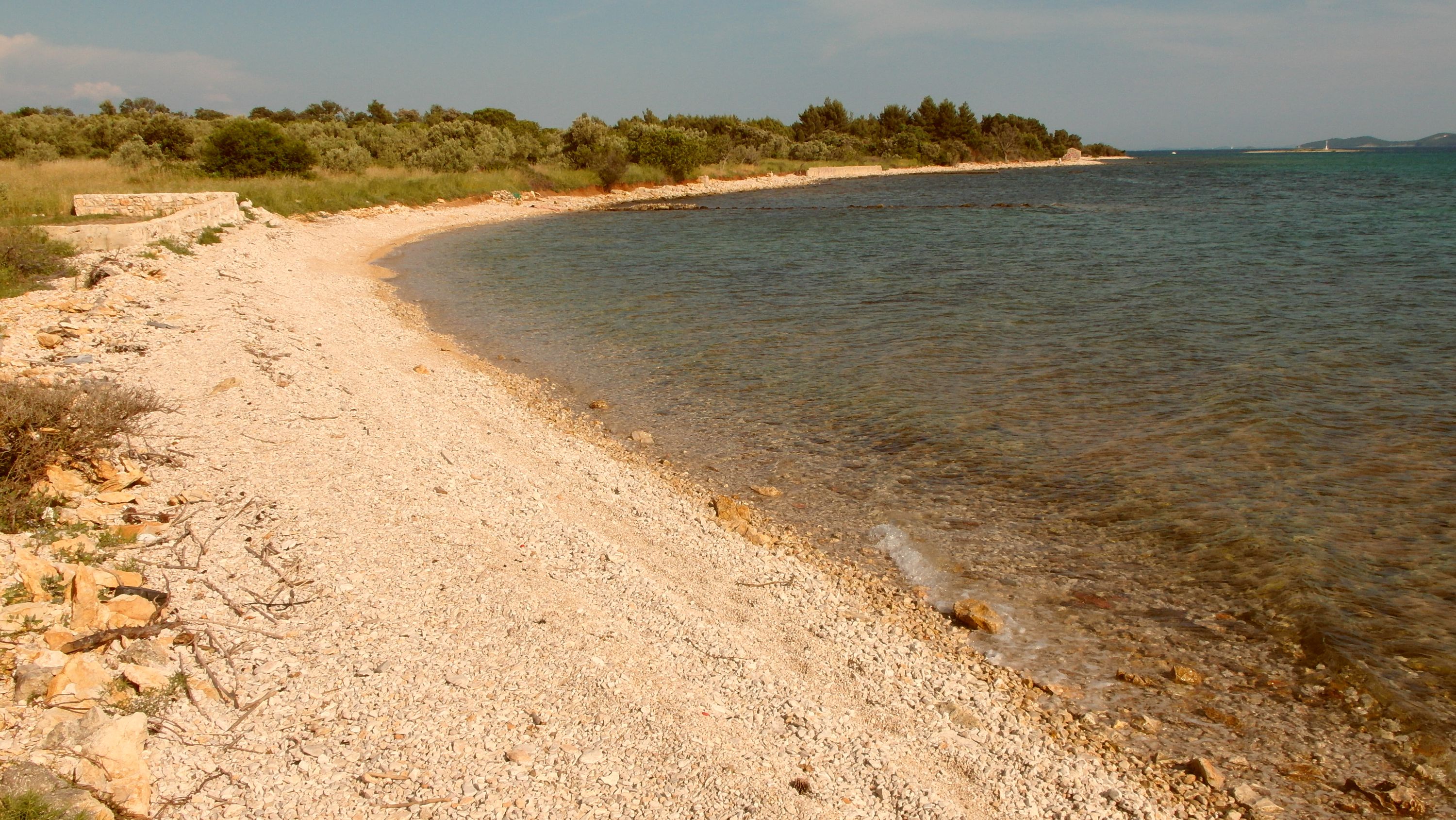 Crvena luka
