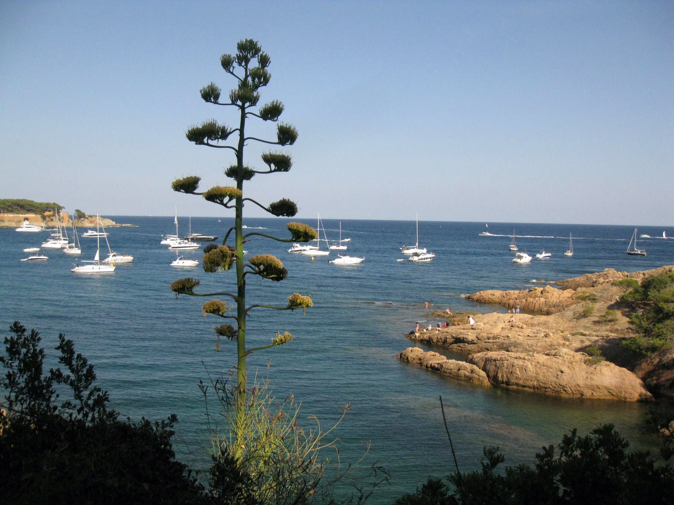 Cala del Peix