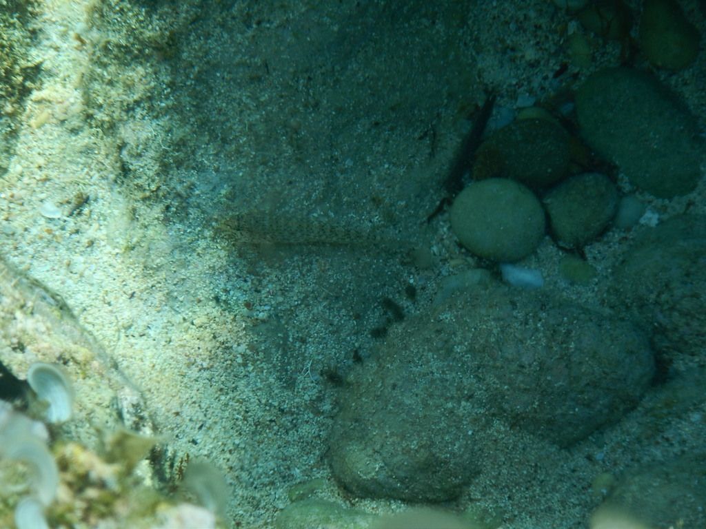 Limeni Wreck