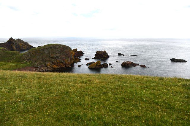 Black Carrs