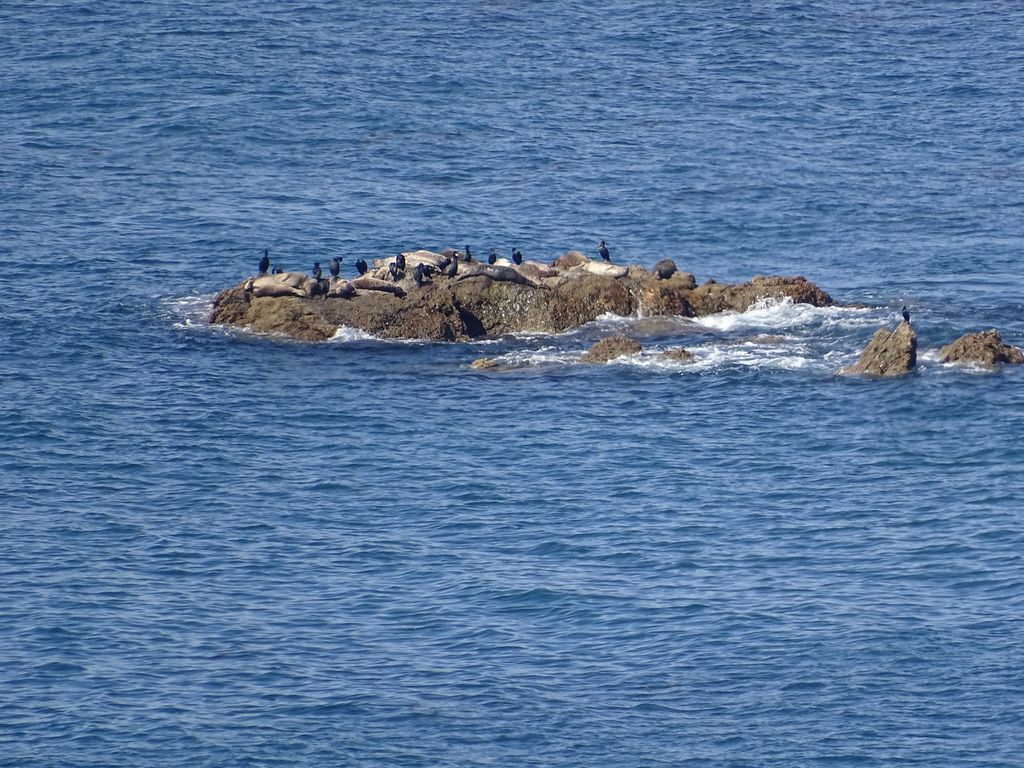 Flat Rock