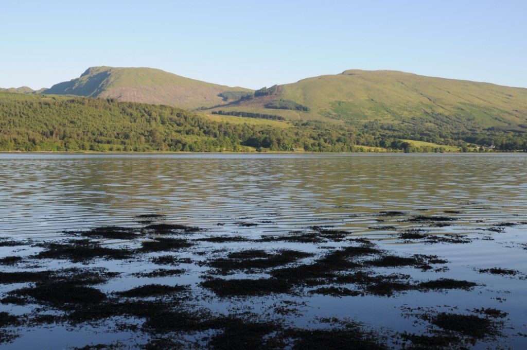 Drishaig