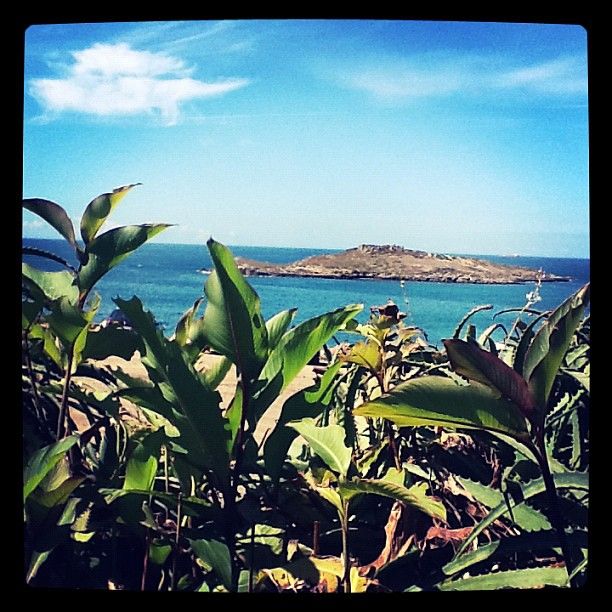 Ilha do Pessegueiro
