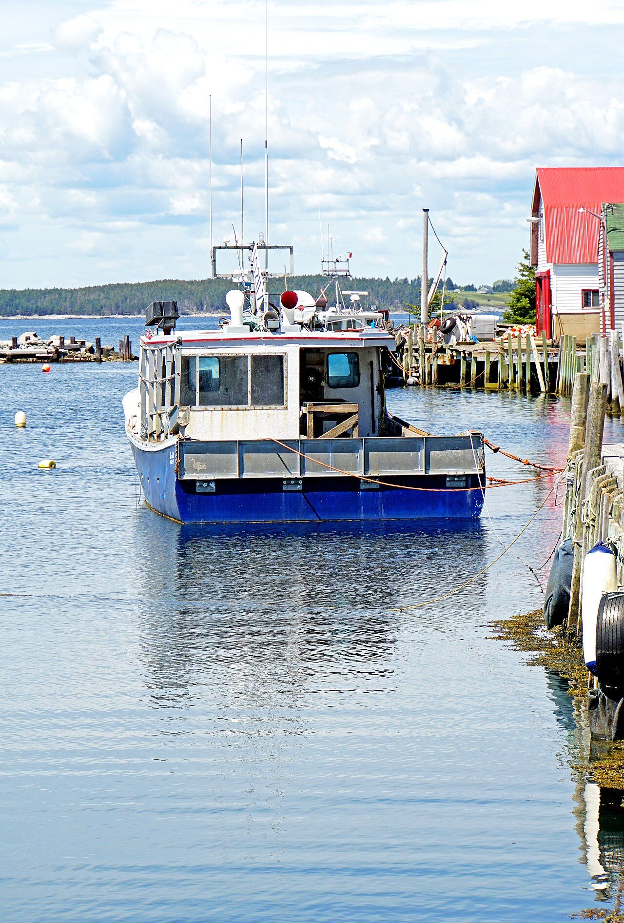 New Harbour