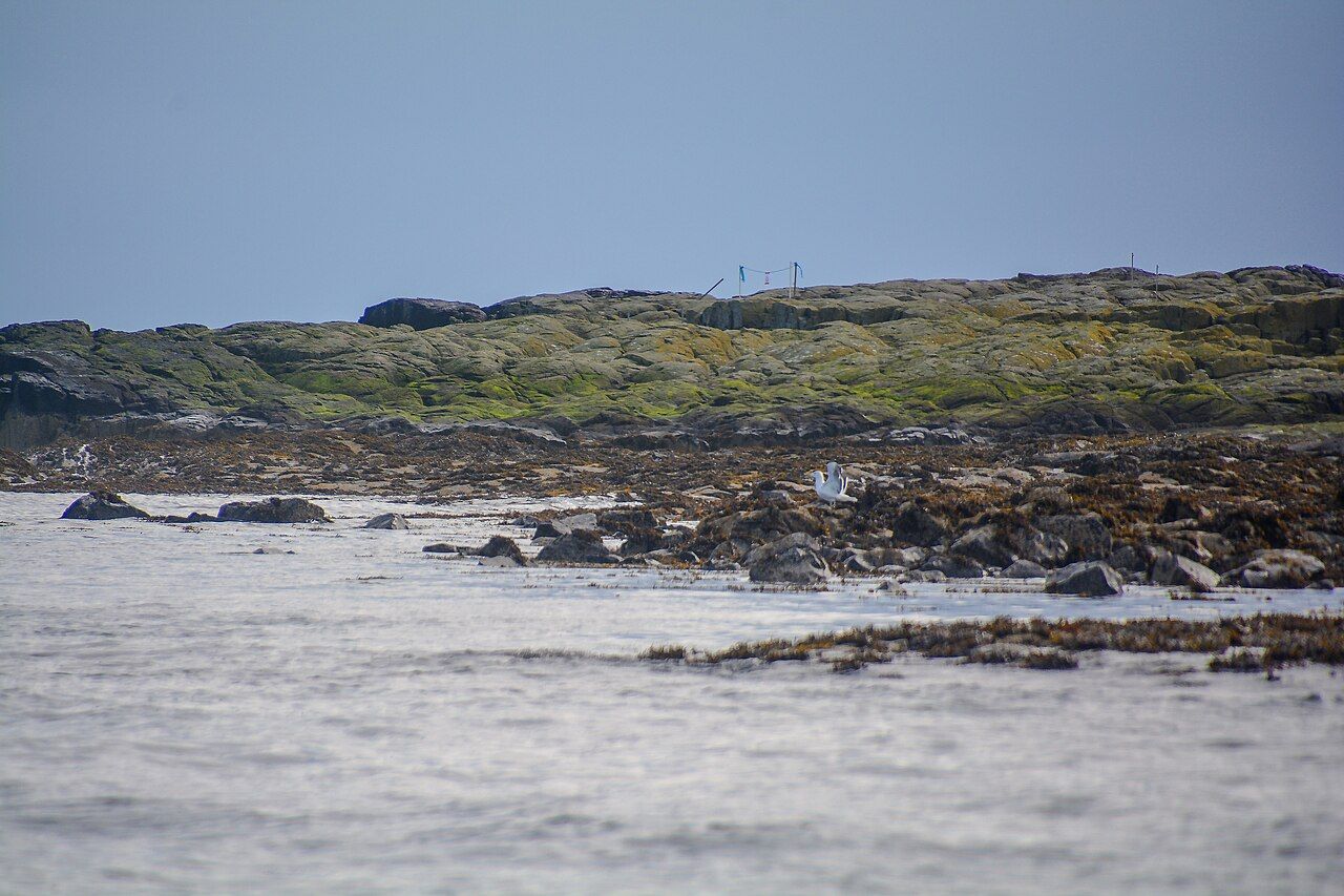 The Farne Islands
