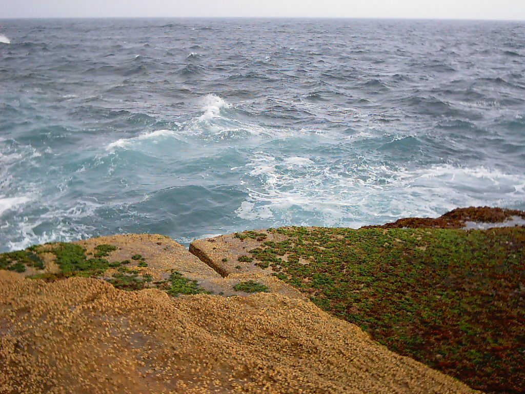 Shark point