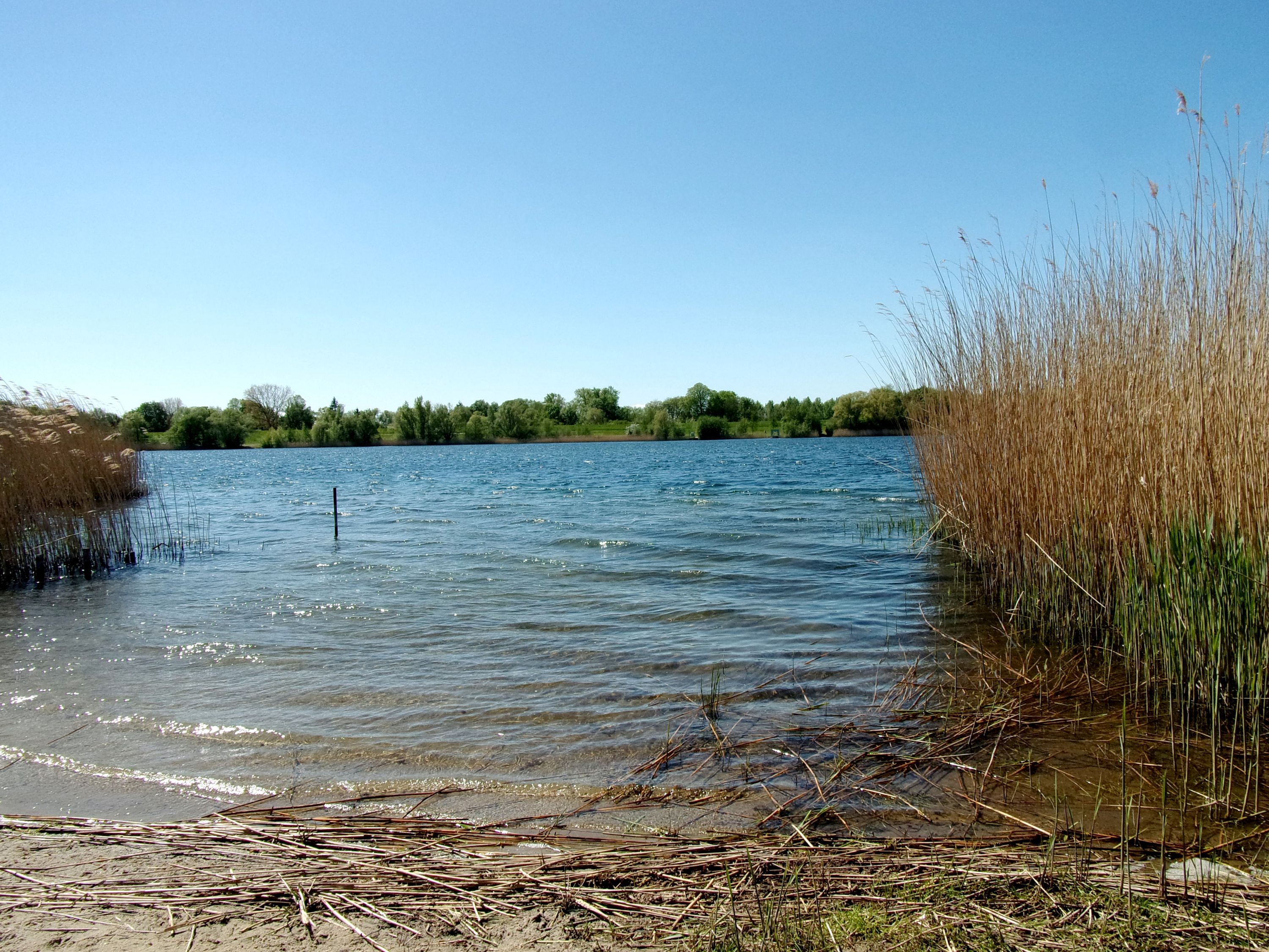 Hohendeicher See