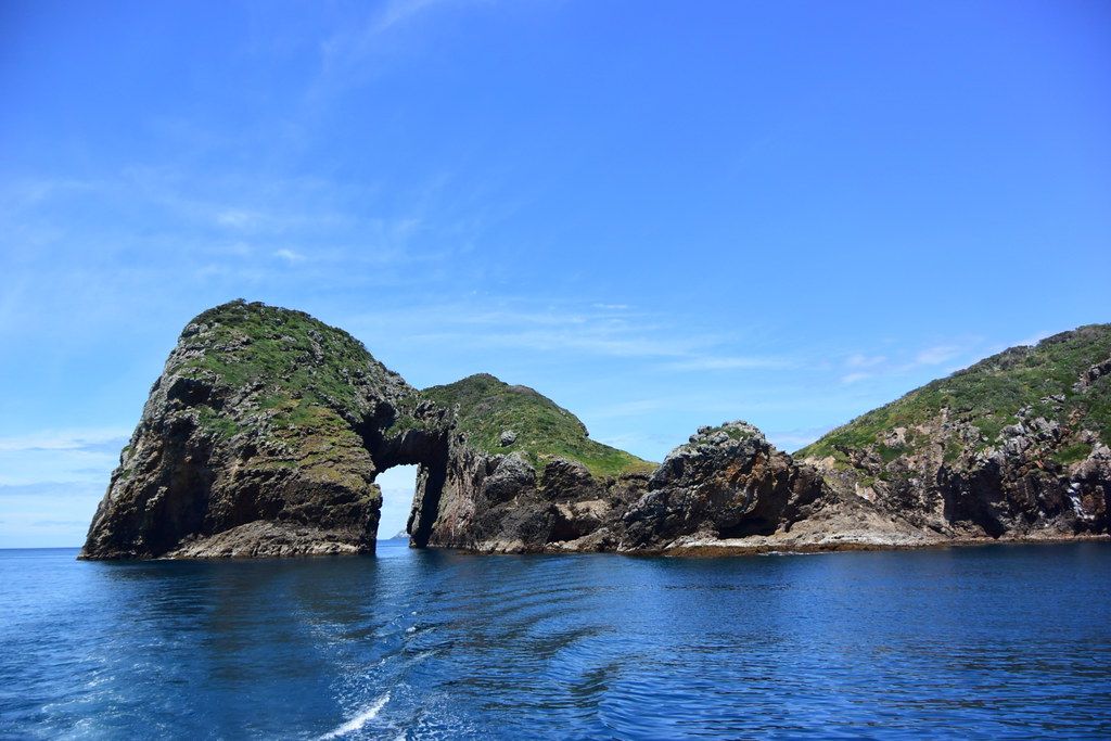 Blue Maomao Arch