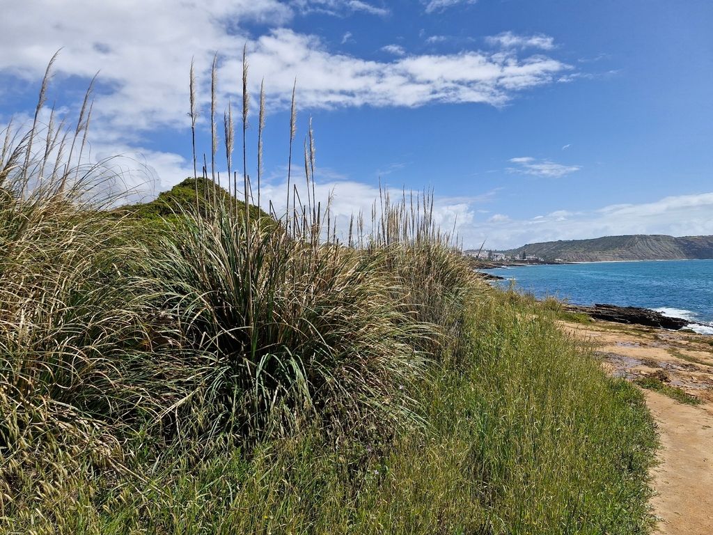 Pedra da Gaivota