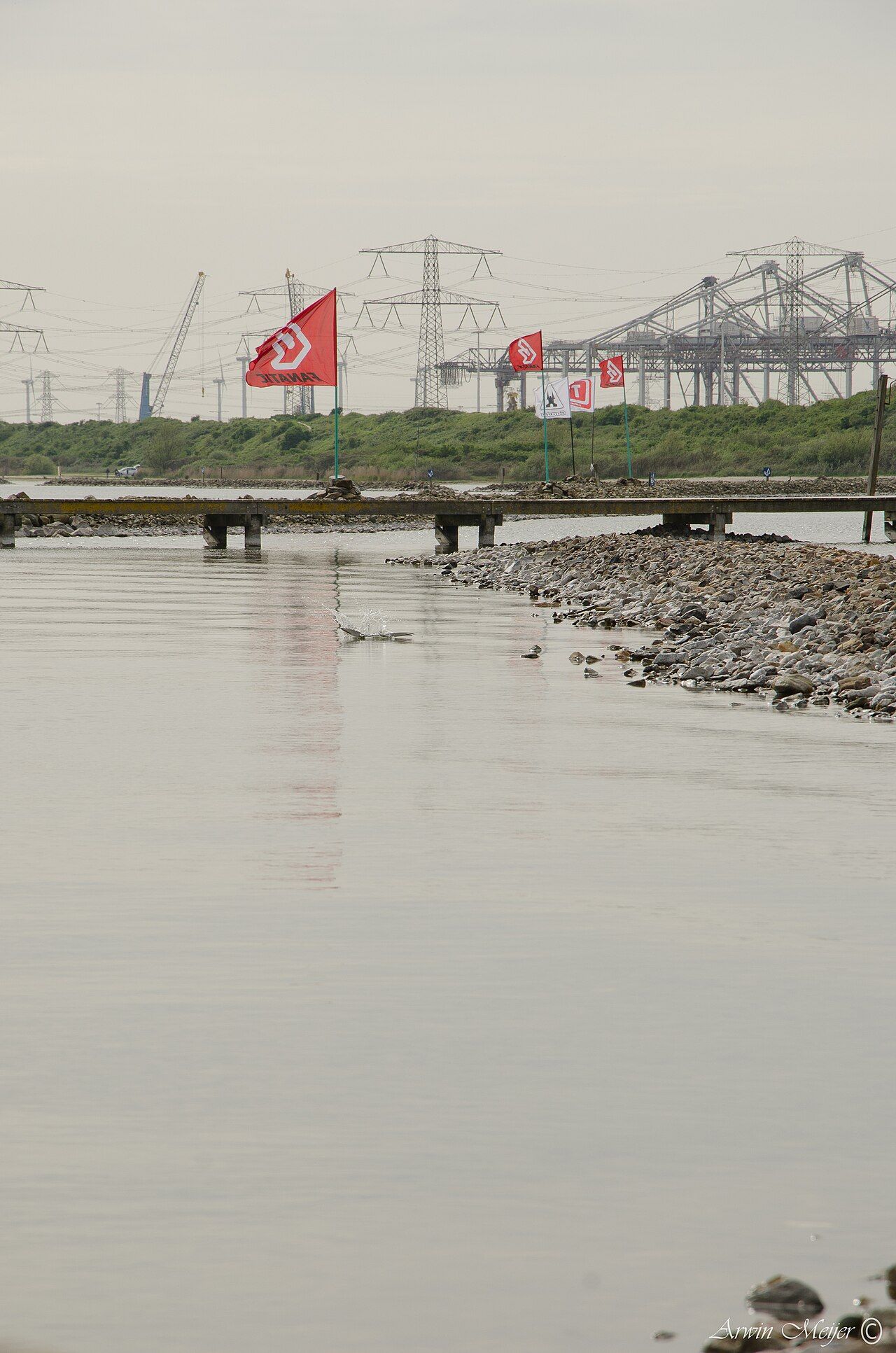 Slag Stormvogel