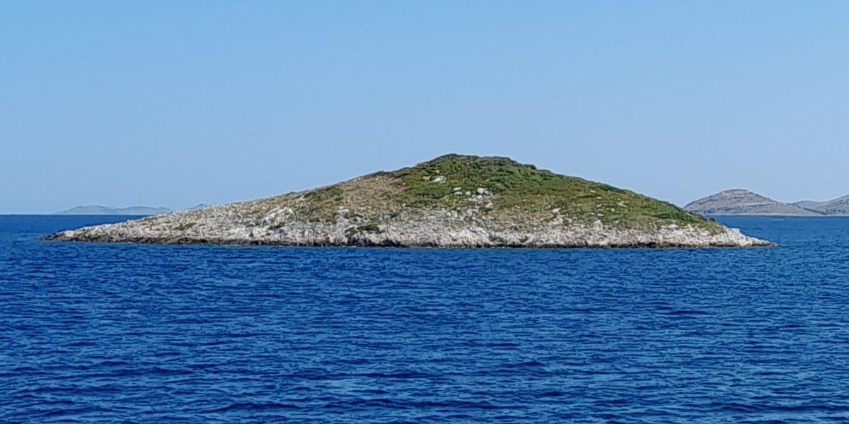 Babuljasi