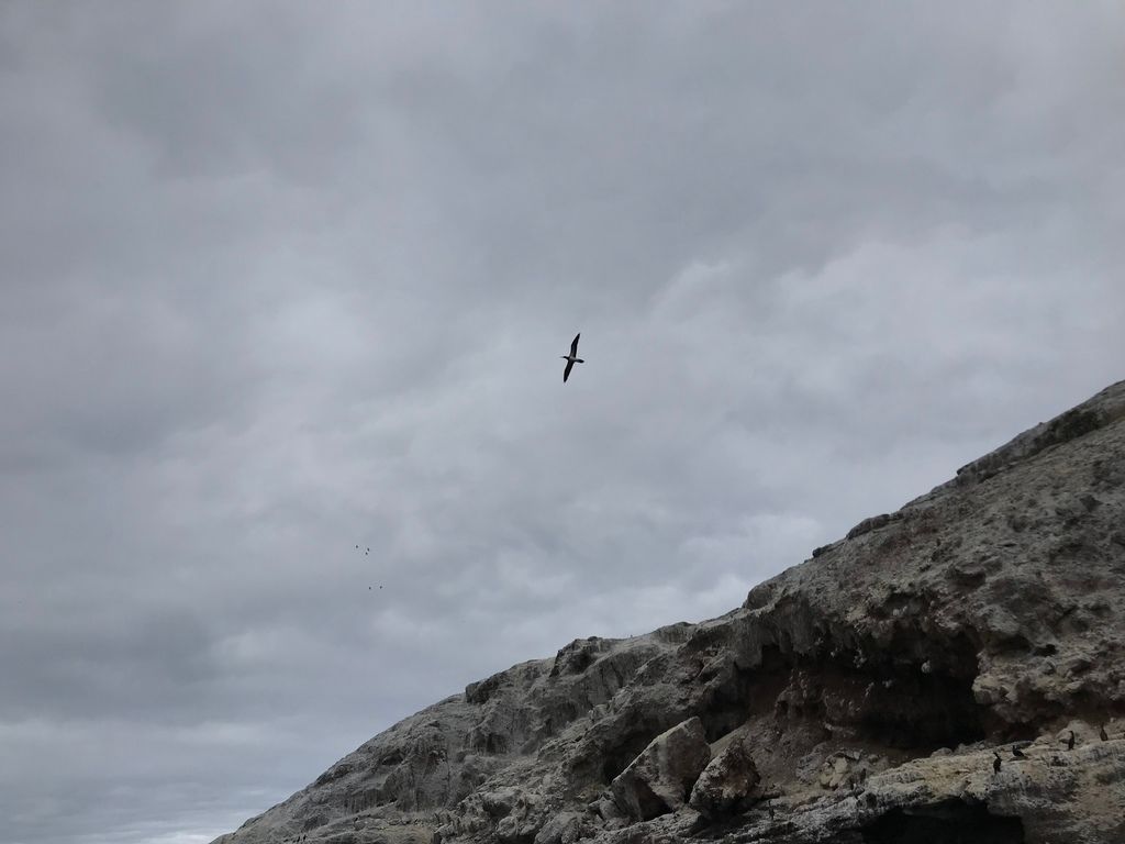 Middle Rock
