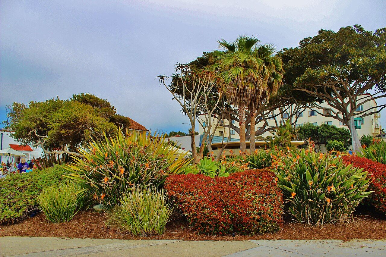 Laguna Beach