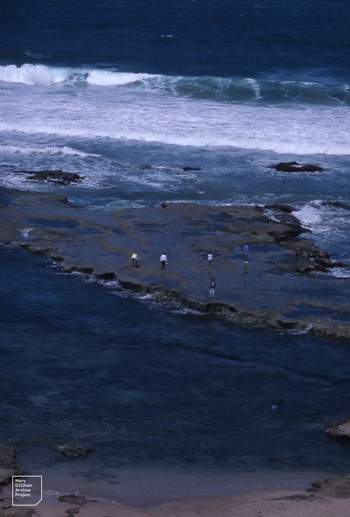 Portsea Reef