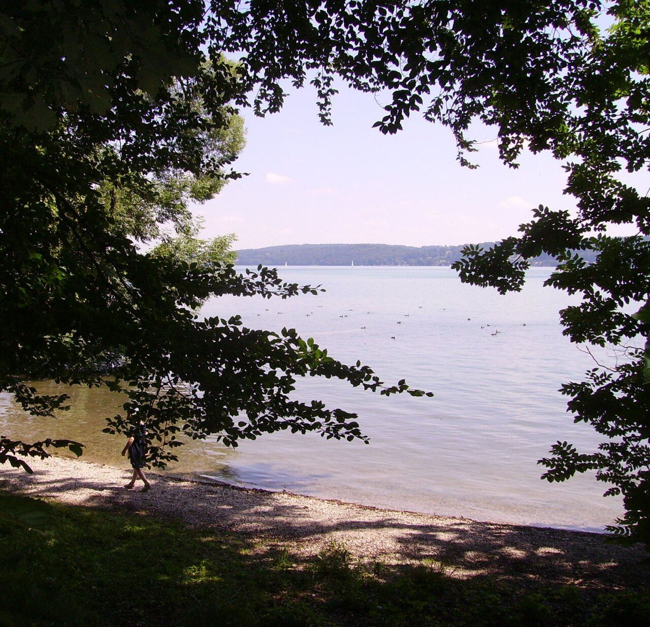 Seelaich
