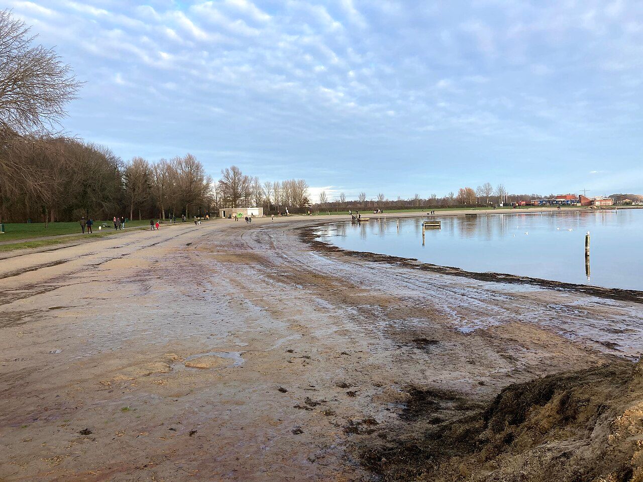Hoornseplas