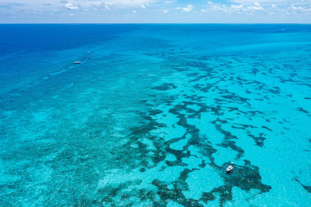 Alligator Reef