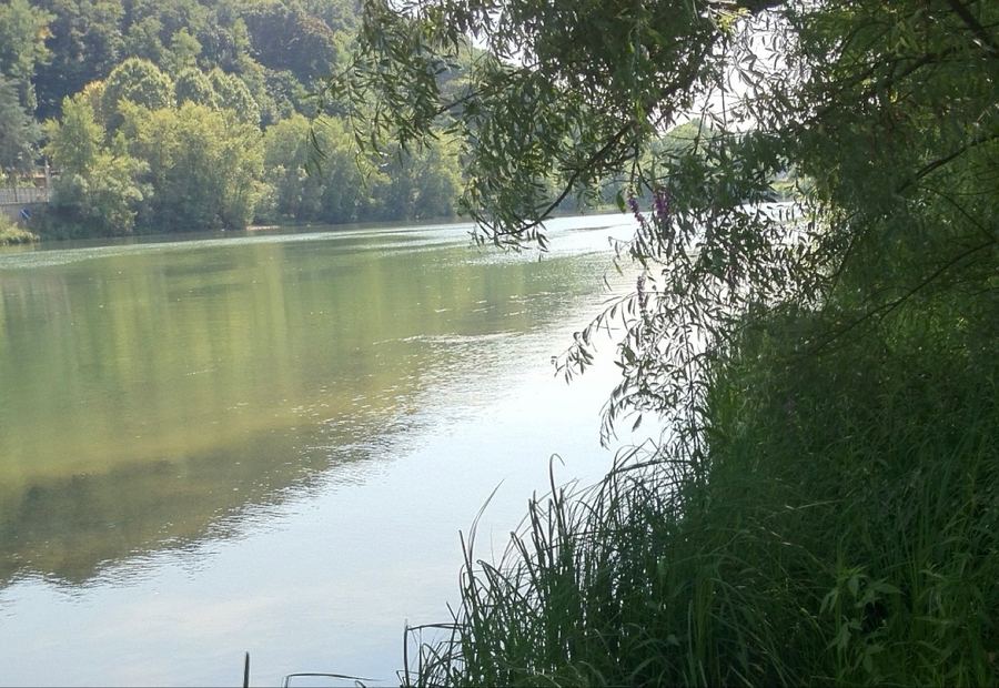 Beach Fontaines-sur-Saône 1